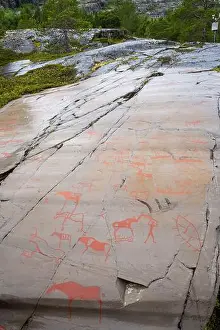 Rock Paintings Prints: The Rock Art of Alta in Norway