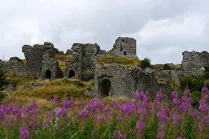 rock of dunamase castle fort fortress laois leinster medieval dun masc monument RM Ireland