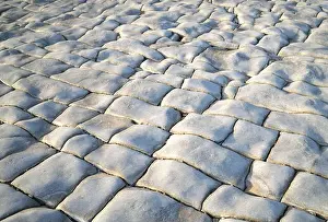 Bedding Prints: Rock Formation at Lavenock Point Beach near Penarth South Wales UK