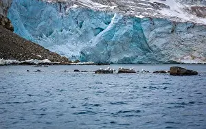 Uria Lomvi Prints: rocks waterfall small iceberg and glacier at the Alkefjellet between Spitsbergen and Nordaustlandet on Svalbard