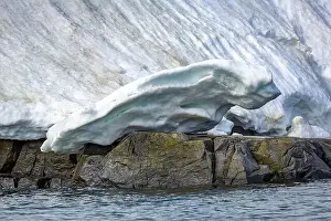Uria Lomvi Prints: rocks waterfall small iceberg and glacier at the Alkefjellet between Spitsbergen and Nordaustlandet on Svalbard