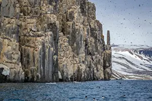 Uria Lomvi Prints: rocks waterfall small icebergs at the Alkefjellet between Spitsbergen and Nordaustlandet on Svalbard