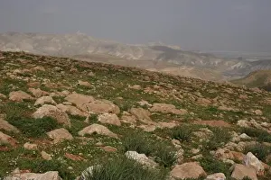 Cloud Sky Prints: Rocky ground, Limestone rocks on the slopes of a hill overlooking the eastern Samarian Hills and the peak of Sartaba