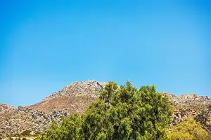 Green Hill Prints: Rocky mountain landscape with green trees in foreground under bright clear blue sky