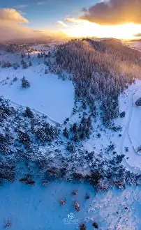Densely Prints: Rolling Clouds At Dense Spruce Coniferous Forest On Snowy White Hill Slope In Winter During Sunset