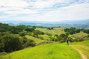 Bay Area Prints: Rolling green hills stretch into the distance under a partly cloudy blue sky