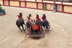 Circus Prints: Roman Chariot Race re-enactment in the amphitheatre at Puy Du Fou France