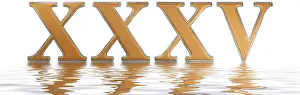 Volumetric Prints: Roman numeral XXXV, quinque et triginta