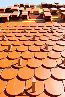 Regular Prints: Roof tiles shaped in the form of a beaver tail