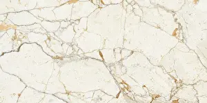Floor Tiles Prints: Rosa Portugues marble design with natural veins stone texture surface