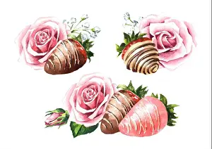 Melted Prints: Rose flowers and Sweet strawberries in glaze dipped in white and milk chocolate set