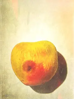 Rotting Prints: Rotten apple