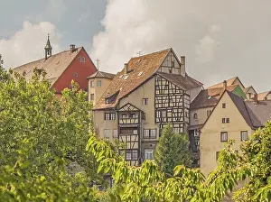 Medical Care Prints: Rottweiler old town