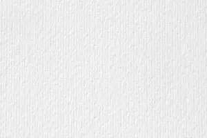 Parchment Prints: Rough paper texture for watercolor, art work, natural light delicate background