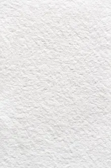 Grained Prints: A rough texture background of absorbent white watercolour (watercolor) paper