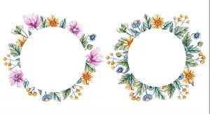 Chamomile Prints: Round frames with watercolor wildflowers
