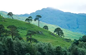 Splendid Prints: Route Crianlarich Clifton A82 middle-scotland, landscape