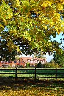Roaming Prints: Row of cottages in autumn, Virginia Water, Surrey, England, United Kingdom