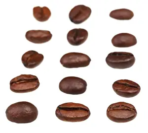 rows and columns from roasted coffee beans with focus foreground
