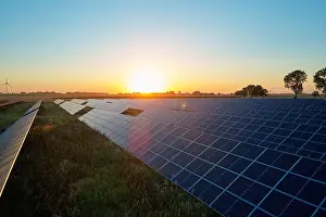 Solar Farm Prints: Rows of solar panels in field at sunset. Renewable energy concept