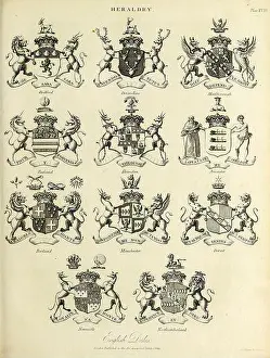 Motto Prints: Royal armorial bearings Heraldry is a discipline relating to the design