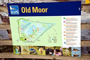 Rspb Prints: RSPB, Old Moor Nature reserve, Dearne Valley, Rotherham. February 2012