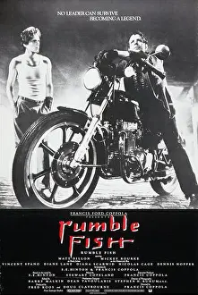 Gang Prints: Rumble Fish Year : 1983 USA Director : Francis Ford Coppola Matt Dillon
