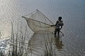 Fishing Net Prints: Rural boys are catching fish with a traditional hand made net in a canal at Horipor