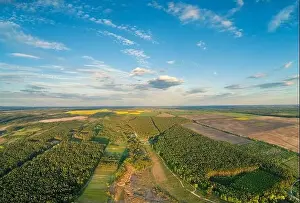 Plowed Prints: Rural landscape, aerial view, skyview of countryside and pine forest with beautiful sky