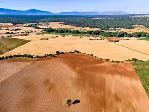 Landscape Hill Prints: Rural landscape of harvested fields and mountains in the background in summer day