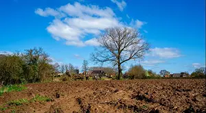 Gelderland Prints: Rural landscape near Bronckhorst, Netherlands