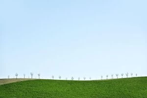 Images Dated 21st April 2019: Rural minimal spring landscape with green hill and young trees