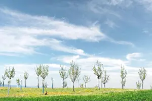 Rural minimal spring landscape with green hill and young trees