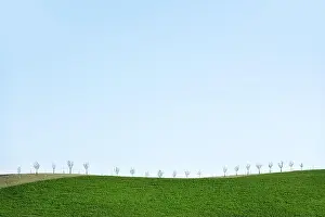 Rural minimal spring landscape with green hill and young trees