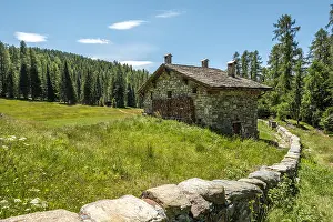 Stone House Prints: Rural mountain house with stone fence wall over a green yard against the forest and a blue sky