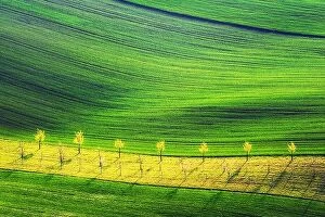 Images Dated 20th April 2019: Rural spring landscape with colored striped hills and trees garden. Green