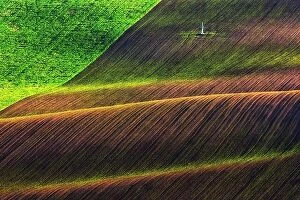 Images Dated 20th April 2019: Rural spring landscape with colored striped hills. Green and brown waves of the agricultural