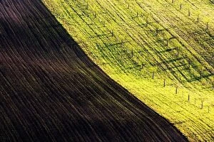 Landscape Collection: Rural spring landscape with colored striped hills. Green and brown waves of the agricultural