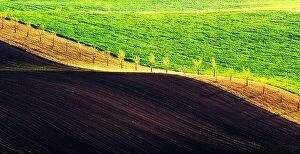 Landscape Collection: Rural spring landscape with colored striped hills. Green and brown waves of the agricultural