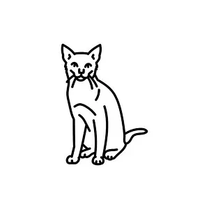 Pussycat Prints: Russian blue cat line icon. Farm animals. Pictogram for web page, mobile app, promo