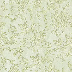 Stucco Prints: Rustic green wall plastered texture. Rustic background