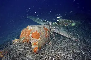Peninsulas Prints: Rusty aircraft wreck under water with fish swimming around and sea grass
