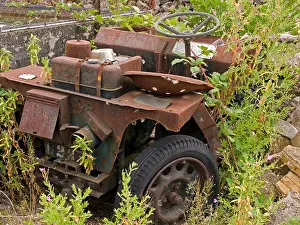 Surrounded Prints: rusty old dumper truck abandoned surrounded by weeds