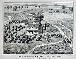 Ranching Prints: Sacramento County California Farm Views - 1880 - Thompson & West Print