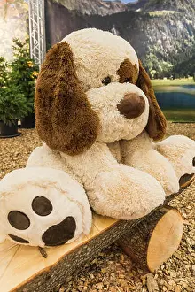 Childcare Prints: sad big stuffed white dog doll on a wooden bench, switzerland