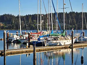 many Sailboats moored in harbor Florence Oregon Pacific Coast Siuslaw River with reflections in the water