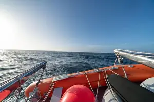 sailing boat in Antarctica, yacht navigation through icebergs and sea ice