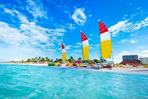 Miami Prints: sailing multicolored catamarans is parked on the white sand on the seashore against the backdrop of beautiful tropical