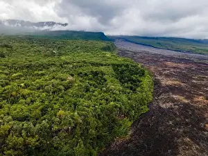 La Reunion Prints: Saint-Philippe, Reunion Island - Le grand brule (old lava flow)