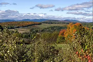 Bucolic Prints: Saint-Tite-des-Caps View